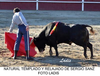 FESTIVAL MIXTO EN HINOJOSA DEL DUQUE:            LECCIÓN DE TOREO DE REYES