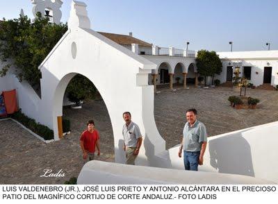 PARAISO DEL BERRENDO : JÓDAR Y RUCHENA TOROS DE EXPOSICIÓN