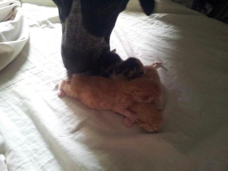 ¿Por dónde empiezo?