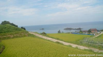 Aventuras por NIIGATA