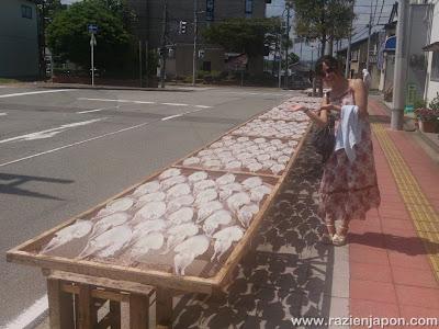 Aventuras por NIIGATA