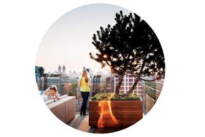 Sueños inmobiliarios: áticos