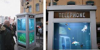 Cabina Telefónica Reciclada para Acuario