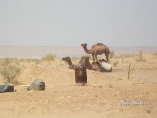 El rapto de las jóvenes en Karakalpakstán: viaje al mundo remoto