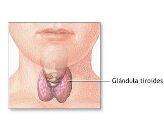 ¿Tienes problemas con la tiroides?