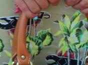 Tropical