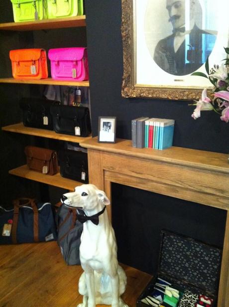 Boo 02 Boo, con el porte esbelto de un ciervo