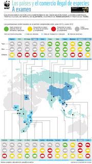 Jaque al mercado negro de especies.