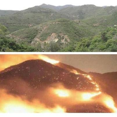 Foto: Lamentablemente, ya nada volverá a ser igual y además: La Junta de Andalucia rechaza un proyecto de macrourbanización en Barranco Blanco por grave impacto medioambiental y poco despues incendio ¿Casualidad o causalidad? Indignante y triste que nuestra provincia se ahogue en las llamas por culpa de unos degenerados.