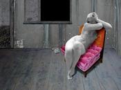 Collage Kathrin Kuhn