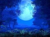 Luna Llena~Azul: Agosto 2012