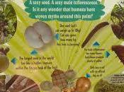 Coco Mer, Seychelles