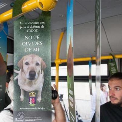 Foto: BADAJOZ: NOVEDOSA CAMPAÑA CONTRA EL ABANDONO DE ANIMALES DE COMPAÑÍA. Los más de 40 autobuses urbanos que recorren diariamente la ciudad y sus pedanías llevarán en su interior carteles en los que, con la foto de un perro, se reclama que no se olviden de él. Es una nueva campaña contra el abandono de animales de compañía. Desde hace un año, y gracias a la labor de refugios y protectoras, no se sac rifican animales abandonados en Badajoz, a pesar de que las cifras de abandonos rondaron los 500 perros desde junio de 2011. En el reverso del cartel se aprecia un excremento de perro que pide que los responsables de los animales tampoco se olviden de ella, y la recojan.  http://www.elperiodicoextremadura.com/noticias/badajoz/los-autobuses-urbanos-de-badajoz-ayudaran-a-evitar-abandono-de-mascotas_677555.html