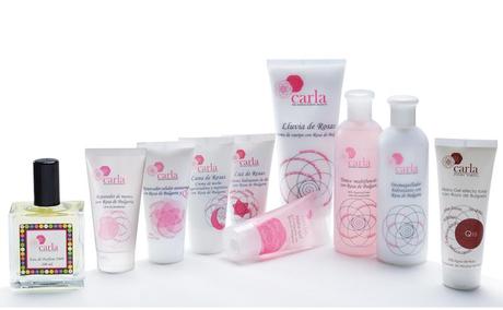 Noche ¨Rosa Fashión¨ : Próximamente