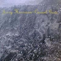 Discos: Casual gods (Jerry Harrison, 1988)