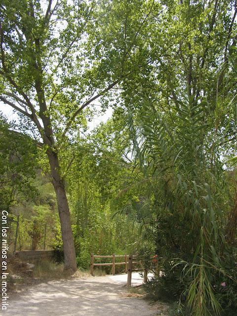 La Cueva del Turche (Buñol, Valencia)