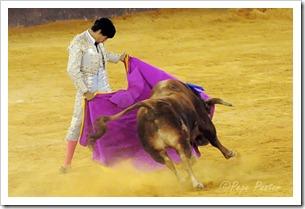 ¡Échale una “plomá”!