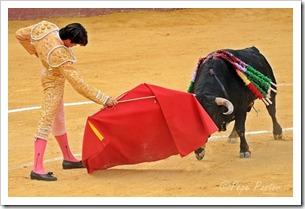 ¡Échale una “plomá”!