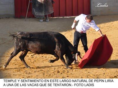 TENTADERO MADROÑIZ: PEPÍN LIRIA SE PREPARA PARA SU PARTICIPACIÓN EN LA CORRIDA GOYESCA DE MURCIA