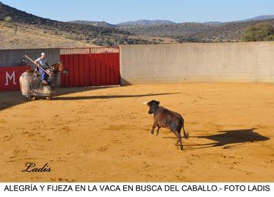 TENTADERO MADROÑIZ: PEPÍN LIRIA SE PREPARA PARA SU PARTICIPACIÓN EN LA CORRIDA GOYESCA DE MURCIA