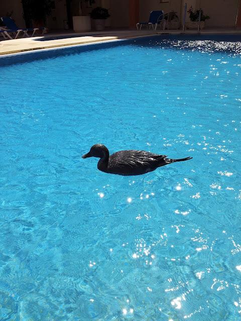 Adioses de septiembre