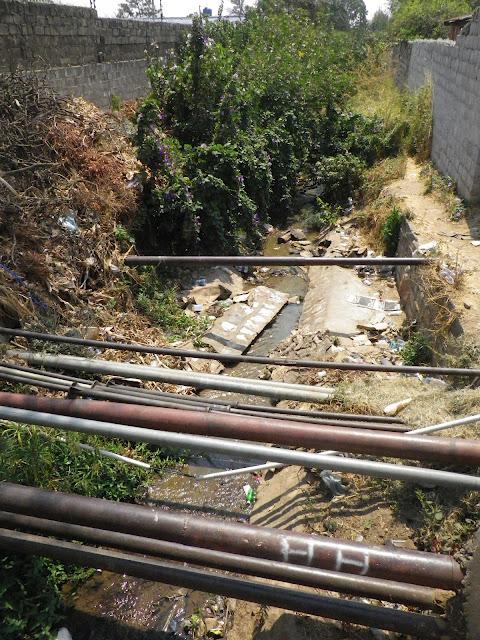 Paso a paso descubro Lusaka