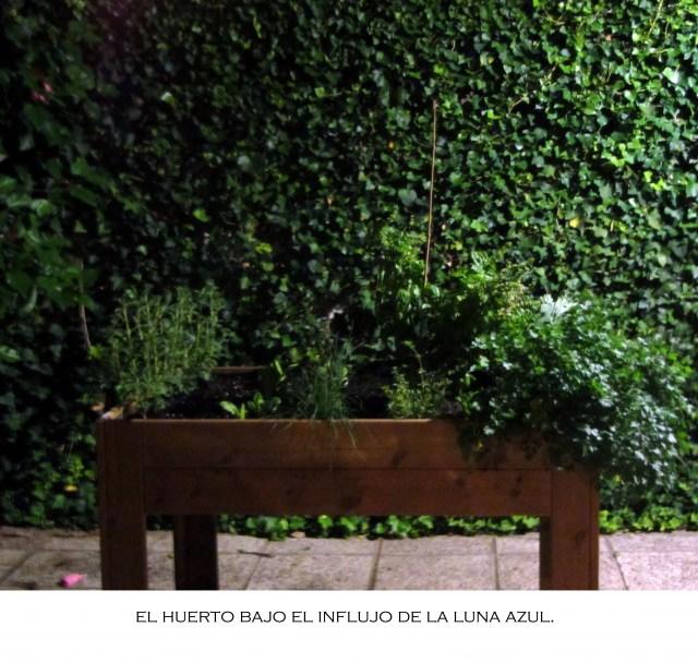 Capítulo final…o no.