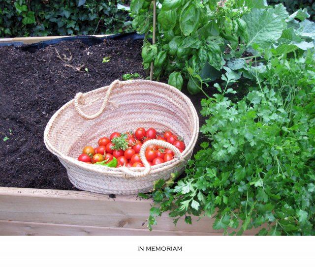 Capítulo final…o no.