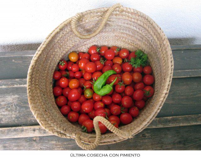 Capítulo final…o no.