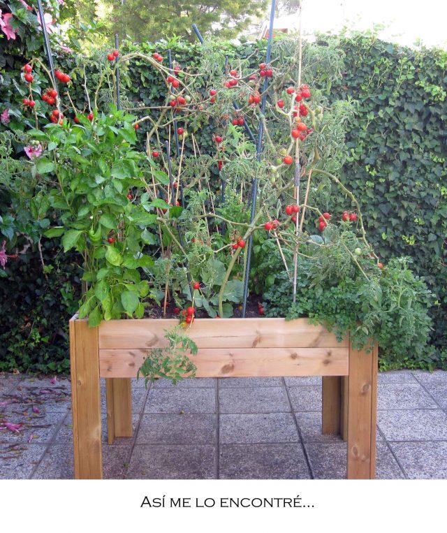 Capítulo final…o no.