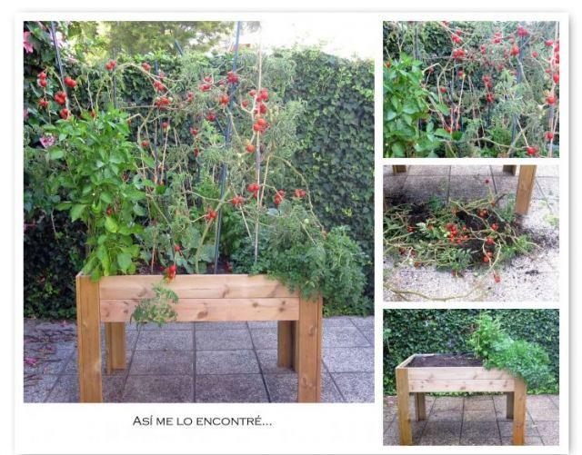 Capítulo final…o no.