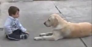 f142 300x154 Perros y gatos, fuente de amor y ternura: ¿Por qué abandonarlos?