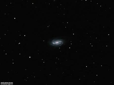 GALAXIA NGC 2903