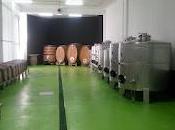 Forjas Salnés
