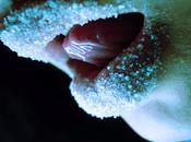 lips