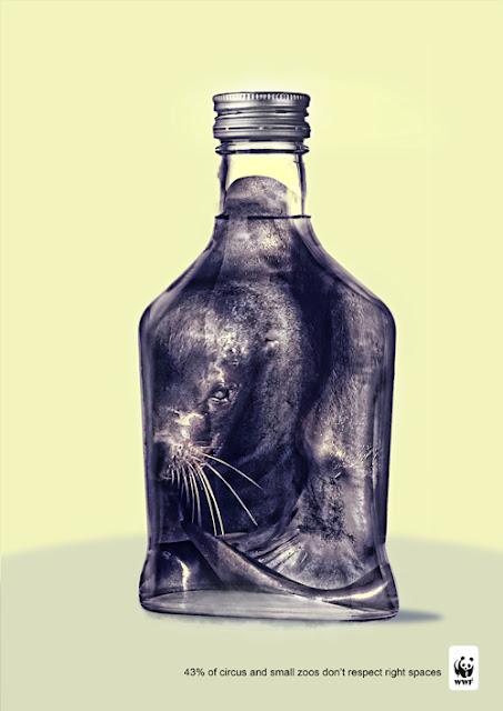 Un gran león en un pequeño espacio