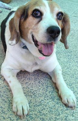 Una nota personal de Libros que voy leyendo, adiós princesa