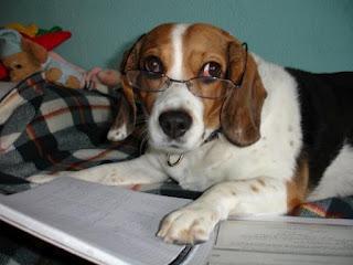 Una nota personal de Libros que voy leyendo, adiós princesa