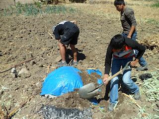 Huaraz (Perú) - El dia de la pachamanca