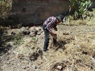 Huaraz (Perú) - El dia de la pachamanca