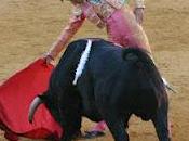 tarde sabor agridulce