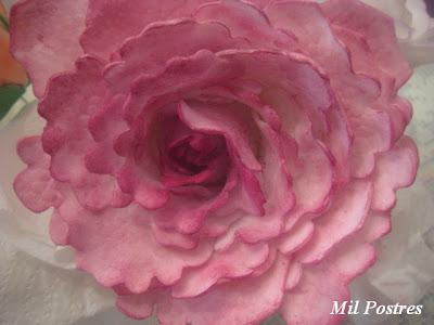 He vuelto, mis últimos trabajos y pasta de azúcar