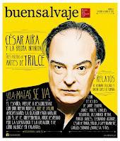 Buensalvaje, revista de literatura