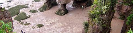 Pasear por el “suelo del mar”, en Hopewell Rocks © Eric Crofton