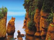 Pasear “suelo mar”, Hopewell Rocks