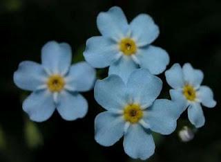 Lazo celeste por el Mes Mundial del Alzheimer en Argentina