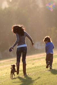 Para prevenir las mordeduras de perros en los niños