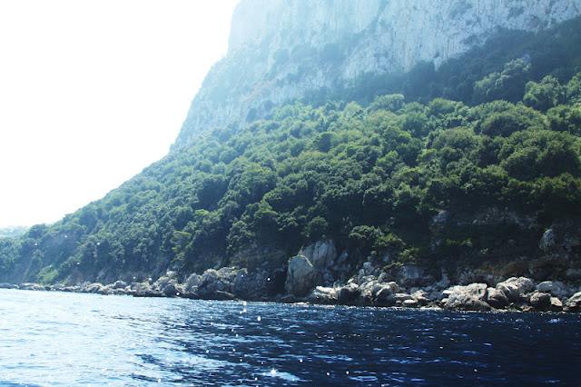In love with... CAPRI