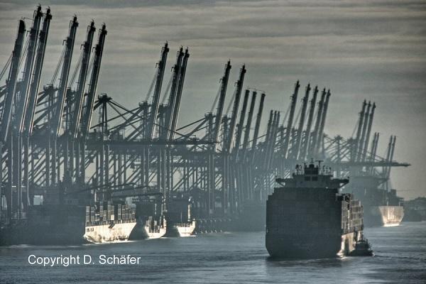 Viajar en barco mercante