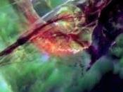 Espectacular erupción filamento solar captada (vídeo)